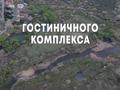 Участок · 1.5 га, Жибек жолы за 80 млн ₸ — фото 3