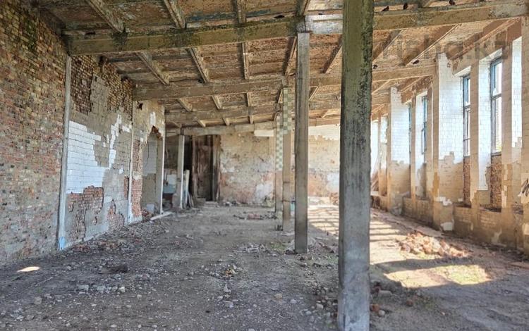Сельское хозяйство · 500 м² за 35 млн ₸ в Соколовка — фото 2