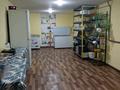 Отдельный дом · 6 комнат · 250 м² · 10 сот., Фонтанная — Куленовка за 93 млн 〒 в Усть-Каменогорске — фото 16