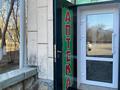 Свободное назначение · 100 м² за 53 млн ₸ в Петропавловске — фото 14