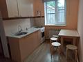 1-комнатная квартира · 29 м² · 1/2 этаж, Намыс 22 — Намыс за 120 000 ₸ в Каскелене — фото 12