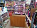 Магазины и бутики • 50 м² за 30 млн 〒 в Остемире — фото 8