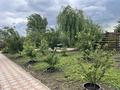 Отдельный дом · 3 комнаты · 90 м² · 6.6 сот., мкр. Алтын орда — СК Спартак. Напротив строящегося нового стадиона. за 37 млн ₸ в Актобе — фото 27