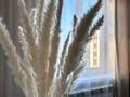 1-комнатная квартира · 40 м² · 9/10 этаж, Валиханова 129 — ЦУМ, Рахат, Каспий банк за 15 000 ₸ в Семее — фото 8