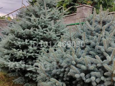 Отдельный дом · 1 комната · 20 м² · 8.5 сот., мкр Алатау (ИЯФ), Гүлдер 62б за 29 млн 〒 в Алматы, Медеуский р-н
