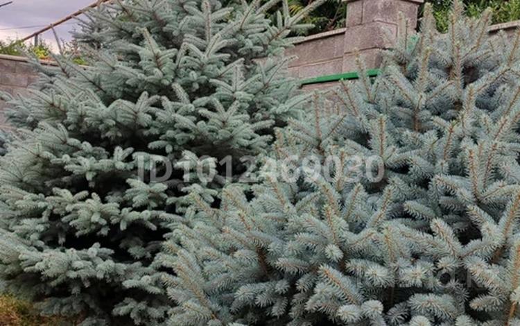 Жеке үй · 1 бөлме · 20 м² · 8.5 сот., мкр Алатау (ИЯФ), Гүлдер 62б, бағасы: 29 млн ₸ в Алматы, Медеуский р-н — фото 2