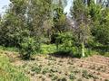 Отдельный дом · 6 комнат · 130 м² · 10 сот., Наурыз 6а за 16 млн ₸ в Бауыржан Момышулы — фото 43
