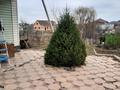 Отдельный дом · 4 комнаты · 117 м² · 12 сот., Карасайский район садоводческое товарищество Огонёк 29 за 30 млн ₸ в Боралдае (Бурундай) — фото 15