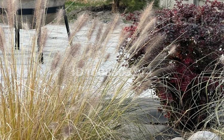 Дом · 5 комнат · 170 м², Теремки 96 за 110 000 〒 в Каскелене — фото 2