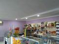 Магазины и бутики • 60 м² за 13 млн 〒 в Караганде, Алихана Бокейханова р-н — фото 2