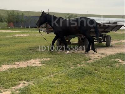 Жер телімі · 200 га, Қасымбек датқа, бағасы: 150 млн ₸ в Касымбек датка