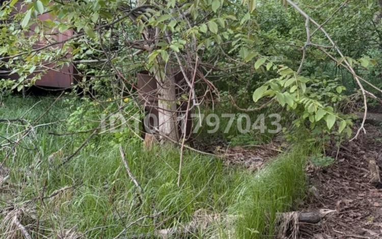 Участок · 8 соток, Трудовик-Подснежник дачный пос. — Есик, Трудовик-Подснежник дачный пос. за 10 млн 〒 — фото 2