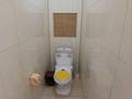 Дом · 5 комнат · 140 м², Дальневосточная 53 — Дальневосточная Аймаутова за 35 000 ₸ в Павлодаре — фото 15
