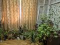 Отдельный дом · 5 комнат · 120 м² · 10 сот., Толеби 2 — Возле почты за 30 млн ₸ в  — фото 14