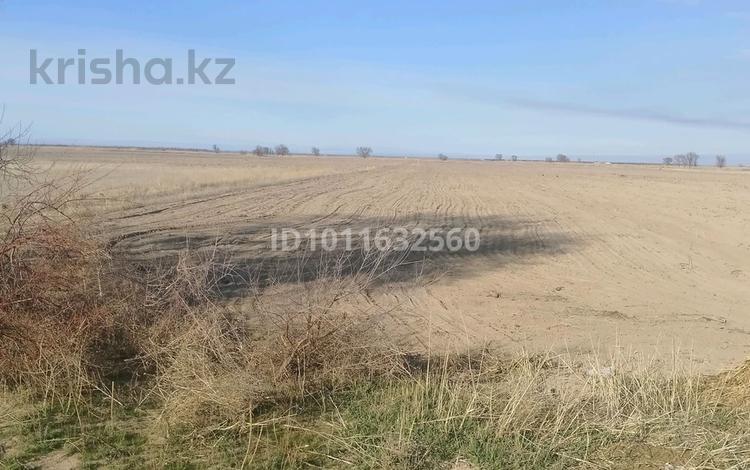 Участок · 6 га, Нура за 6.2 млн ₸ — фото 2
