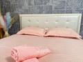 1-бөлмелі пәтер · 40 м² · 7 қабат, мкр Акжайык, проспект Байдибек би 113/2, бағасы: 18 000 ₸ в Шымкенте, Абайский р-н — фото 5