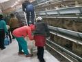 Зауыт · 25 га, Бурабайский район 1, бағасы: 7.7 млрд ₸ в Бурабае — фото 12