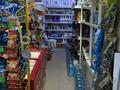 Магазины и бутики · 200 м² за 110 млн ₸ в Шымкенте, Абайский р-н — фото 14