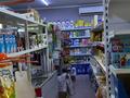 Магазины и бутики · 200 м² за 110 млн ₸ в Шымкенте, Абайский р-н — фото 15