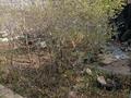 Саяжай · 2 бөлме · 50 м² · 10 сот., Алматинская 117 — Возле водохище коянды, бағасы: 13 млн 〒 в Астане, р-н Байконур — фото 15