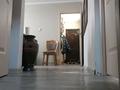 3-комнатная квартира · 58 м² · 4/4 этаж, Шагабутдинова Казыбек би за 37.5 млн 〒 в Алматы, Алмалинский р-н — фото 8