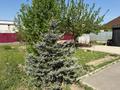 Отдельный дом · 3 комнаты · 60 м² · 11.5 сот., Абдирова за 75.5 млн ₸ в Коянкусе — фото 11
