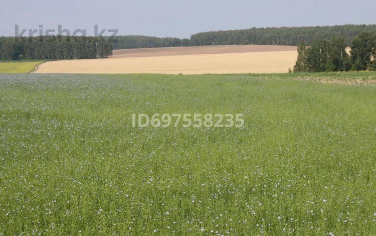 Свободное назначение • 38.5 м² за 30 000 〒 в Байсерке — фото 2