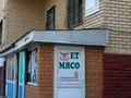 Еркін, дүкендер мен бутиктер · 73 м², бағасы: 44.9 млн ₸ в Астане, Сарыарка р-н — фото 30
