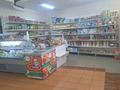 Магазины и бутики • 200 м² за 200 000 〒 в Павлодаре — фото 3