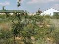 Жеке үй · 4 бөлме · 110 м² · 100 жүзд., 5 квартал 2044 — 21 км, бағасы: 49 млн ₸ в  — фото 13
