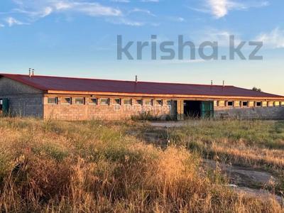Свободное назначение, склады, сельское хозяйство · 720 м² за 80 млн 〒 в Уштереке