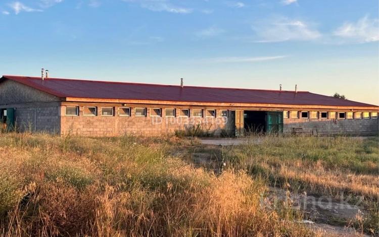 Свободное назначение, склады, сельское хозяйство · 720 м² за 80 млн 〒 в Уштереке — фото 2