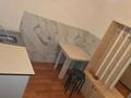 Отдельный дом · 1 комната · 40 м² · 4 сот., Сарыарка 95 за 75 000 ₸ в Каскелене — фото 10