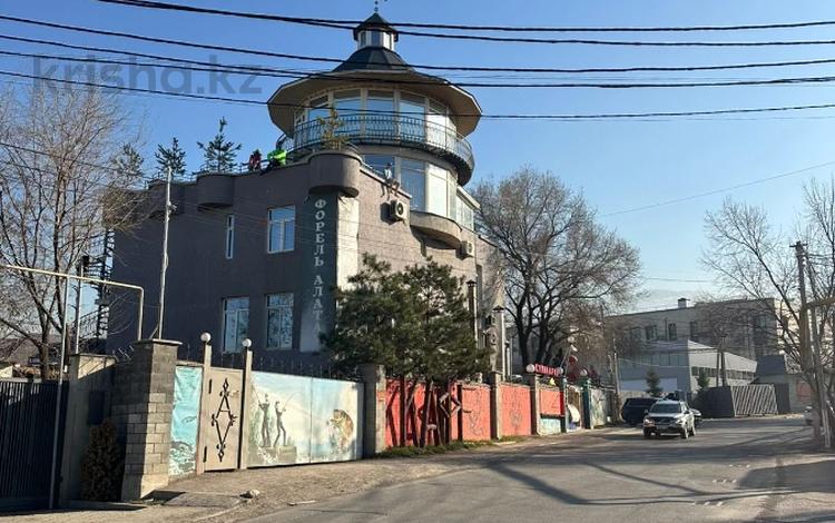Свободное назначение, общепит · 1000 м² за ~ 1 000 млн ₸ в Алматы — фото 2