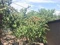 Отдельный дом · 7 комнат · 150 м² · 16 сот., Мерекеева 36 — Мерекеева-Камирдинова за 55 млн ₸ в Чундже — фото 38