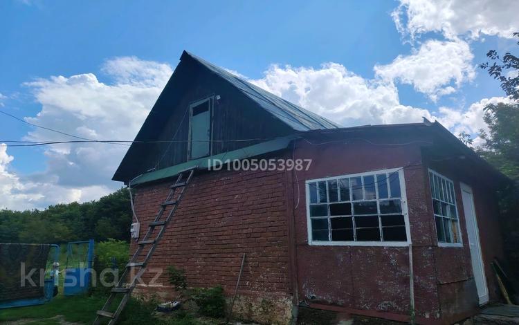 Отдельный дом · 2 комнаты · 45 м² · 120 сот., Донская 24 — Сосед за 1.7 млн 〒 в Донском — фото 2