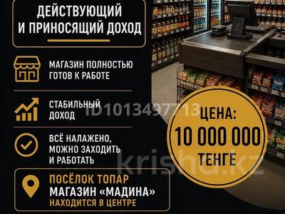 Магазин / действующий бизнес · 40 м², бағасы: 10 млн ₸ в Топаре