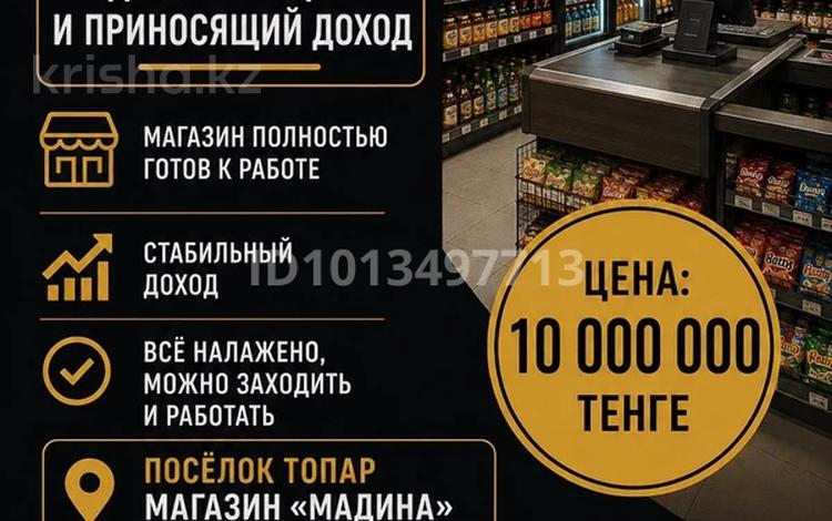 Магазин / действующий бизнес · 40 м², бағасы: 10 млн ₸ в Топаре — фото 2