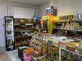Магазины и бутики · 100 м² за 60 млн ₸ в Караганде, Казыбек би р-н — фото 5