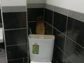 1-комнатная квартира · 26 м² · 1/3 этаж, Монтаева 37А — Алатауская трасса за 120 000 ₸ в Туздыбастау (Калинино)
