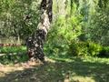 Саяжай · 3 бөлме · 56 м² · 10 жүзд., Участок №2, бағасы: 45 млн ₸ в Каскелене — фото 11