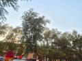 4-комнатная квартира · 110 м² · 3/14 этаж, Куйши Дина 31 — Абылайхана-Куйшидина за ~ 44 млн ₸ в Астане, Алматы р-н — фото 27