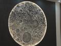 Дача · 4 комнаты · 360 м², жилой массив Кайнар Булак, ул Василькова 53 — ул Медикова за 250 000 ₸ в Шымкенте, Абайский р-н — фото 19