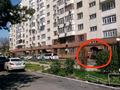 Свободное назначение · 185.6 м² за 500 000 ₸ в Алматы, Ауэзовский р-н — фото 2