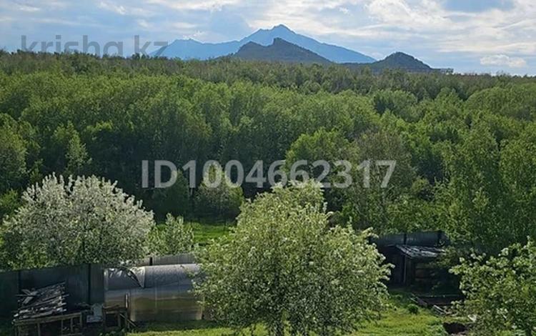 Отдельный дом · 11 комнат · 243 м² · 16 сот., Набережная 15 — Озеро Большое Чебачье за 59.7 млн ₸ в Бурабае — фото 3