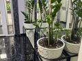 3-бөлмелі пәтер · 105 м² · 9/10 қабат, Бухар Жырау 35, бағасы: 800 000 ₸ в Алматы, Бостандыкский р-н — фото 25