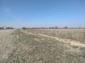 Участок · 2 га, Койшибек Байтерек за 65 млн ₸ в Алге — фото 3