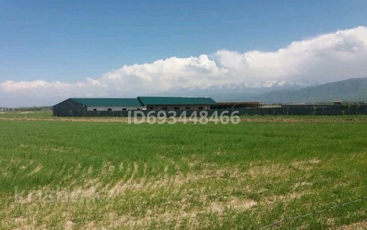 Сельское хозяйство · 23000 м² за 51 млн 〒 в Каскелене — фото 2