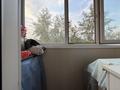 2-комнатная квартира · 45.4 м² · 5/5 этаж, Гагарина 44/1 за 14.5 млн ₸ в Павлодаре — фото 13
