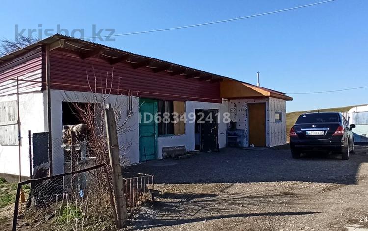 Отдельный дом · 2 комнаты · 40 м² · 10 сот., Пос. Белашов 6 за 7 млн ₸ в Кордае — фото 4